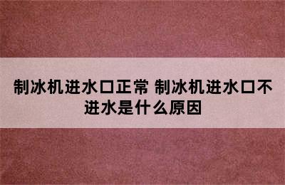 制冰机进水口正常 制冰机进水口不进水是什么原因